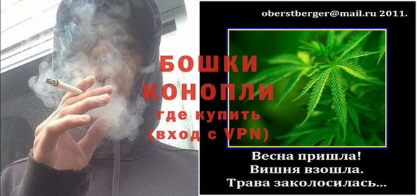 МДПВ Бронницы