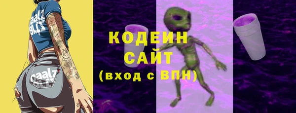 прущие грибы Бородино