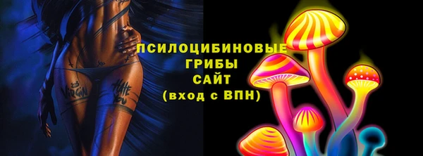 МДПВ Бронницы