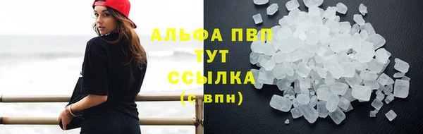 прущие грибы Бородино