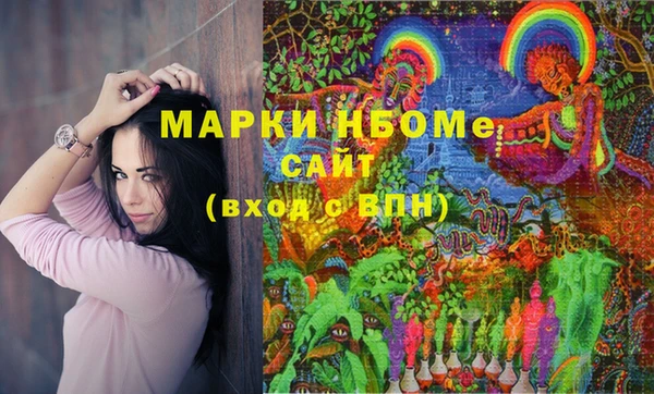 прущие грибы Бородино