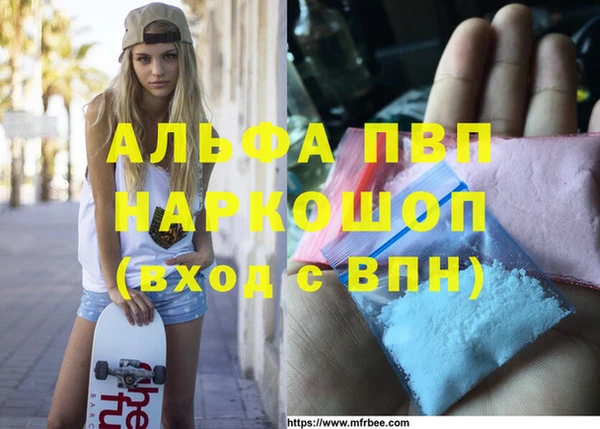 прущие грибы Бородино