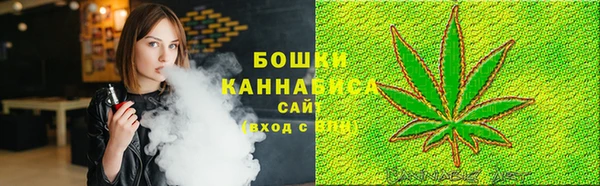 прущие грибы Бородино