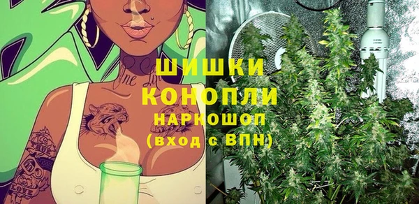 дживик Сатка