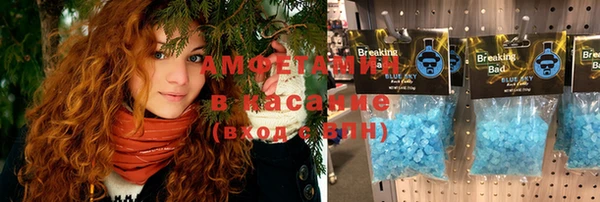 прущие грибы Бородино
